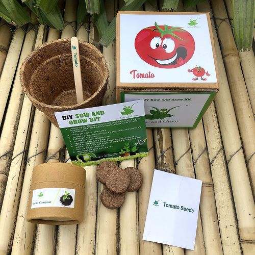 Flower grow kit sowed with beautiful plant seeds