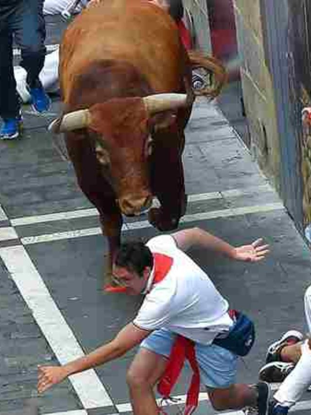 Three people were killed during traditional bull runs in eastern Spain,