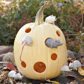 Mouse & Cheese Pumpkin
