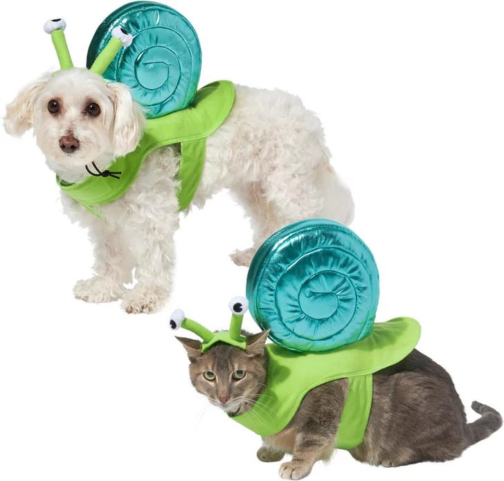 Frisco Snail Dog & Cat Costume