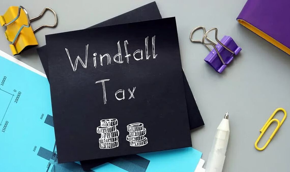 All You Need to Know About a Windfall Tax