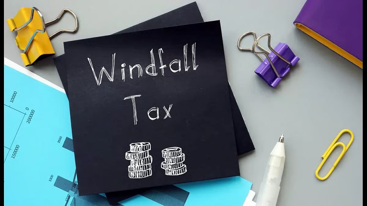 All You Need to Know About a Windfall Tax