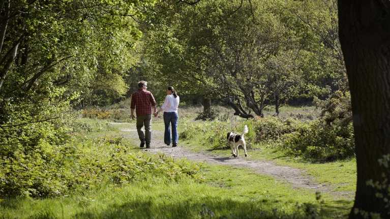 Danbury Common