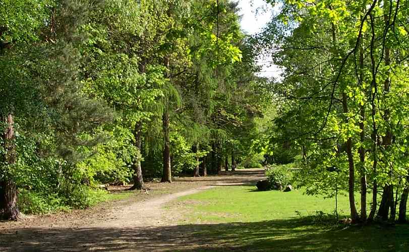 Thorndon Country Park