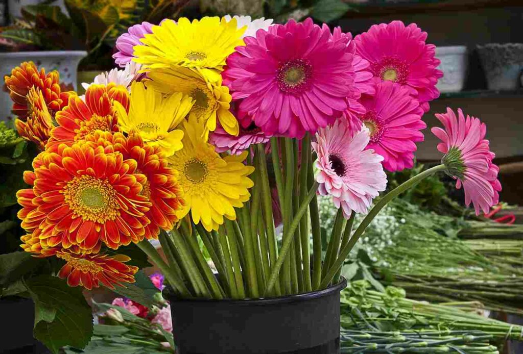The 5 Best Flowers to Say Thank You